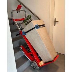 Buddy Lift Plasmoid Zonzini